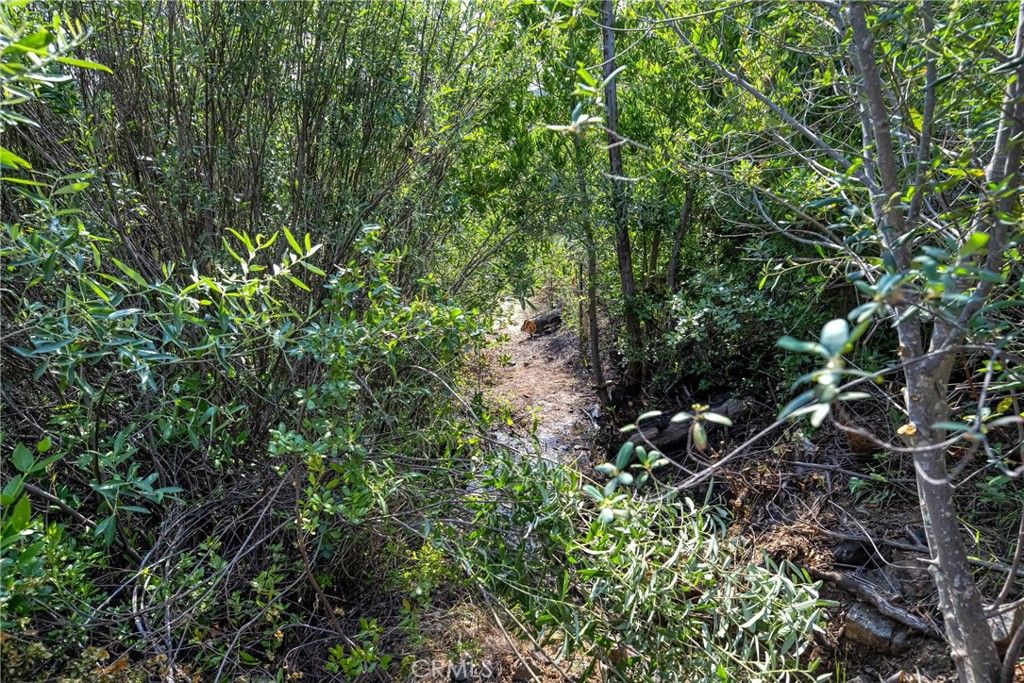 Image 20 of property listing at lot 1 Butts Canyon Road, Pope Valley, CA 94567