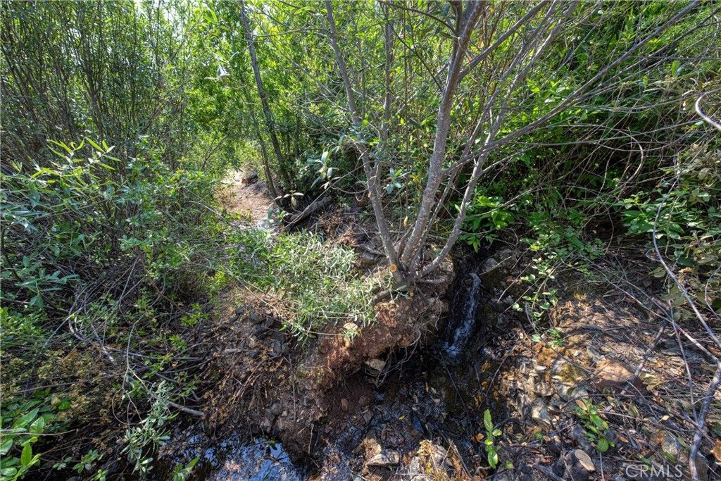 Image 21 of property listing at lot 1 Butts Canyon Road, Pope Valley, CA 94567