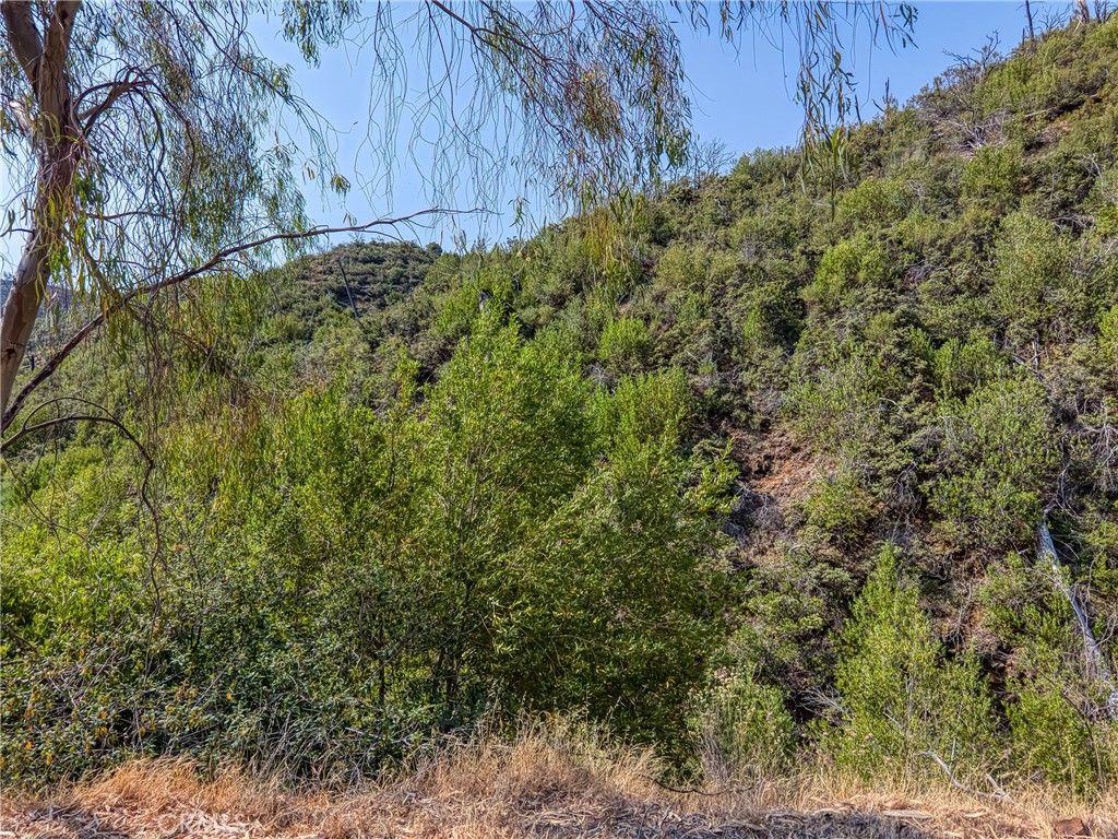 Image 49 of property listing at lot 1 Butts Canyon Road, Pope Valley, CA 94567