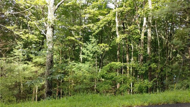0 Goldmine Drive, Ellijay, GA 30536