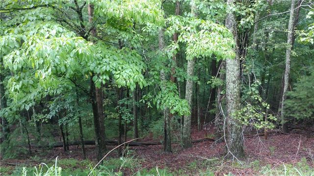0 Goldmine Drive, Ellijay, GA 30536