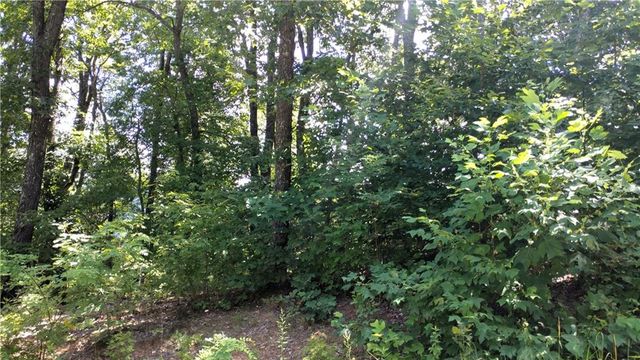 0 Goldmine Drive, Ellijay, GA 30536