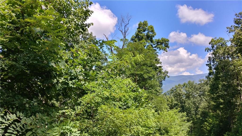 0 Goldmine Drive, Ellijay, GA 30536