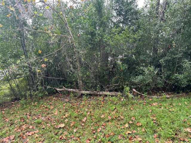 2713 ADAMS STREET W, Inverness, FL 34453