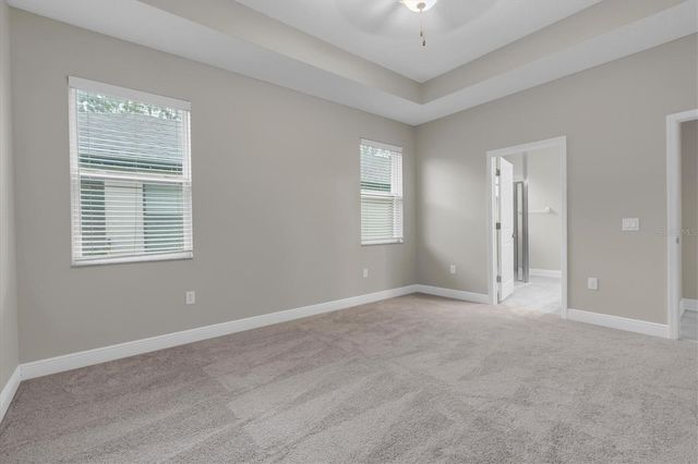 3343 HEART PINE AVENUE, Odessa, FL 33556