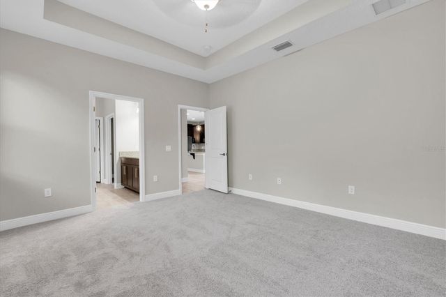 3343 HEART PINE AVENUE, Odessa, FL 33556