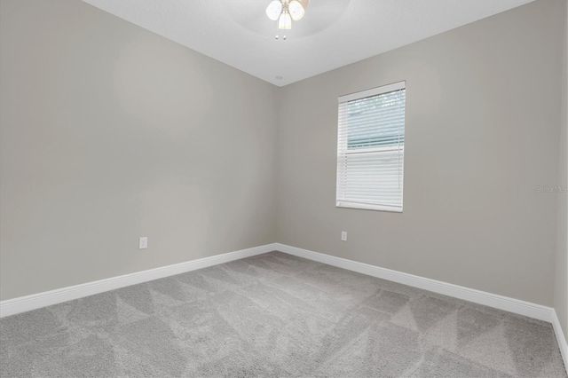 3343 HEART PINE AVENUE, Odessa, FL 33556