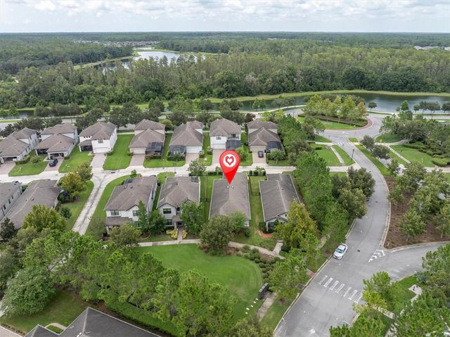 3343 HEART PINE AVENUE, Odessa, FL 33556
