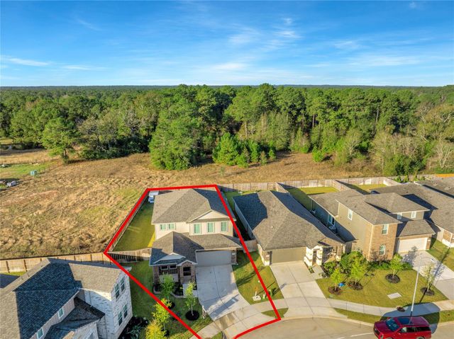 38503 Winding Meadows Drive, Magnolia, TX 77354
