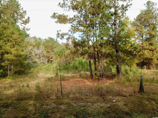 154 Old Wilson Rd., Longs, SC 29568