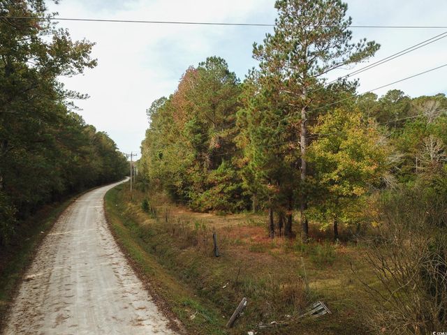 154 Old Wilson Rd., Longs, SC 29568