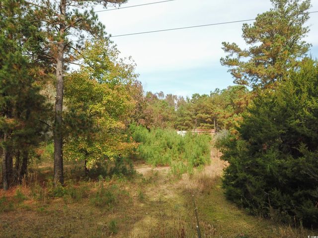 154 Old Wilson Rd., Longs, SC 29568