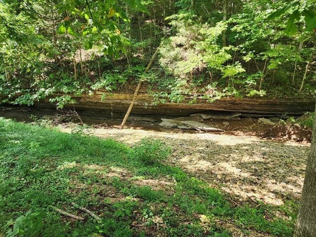 0 Taurus Farm Rd, Lafayette, TN 37083