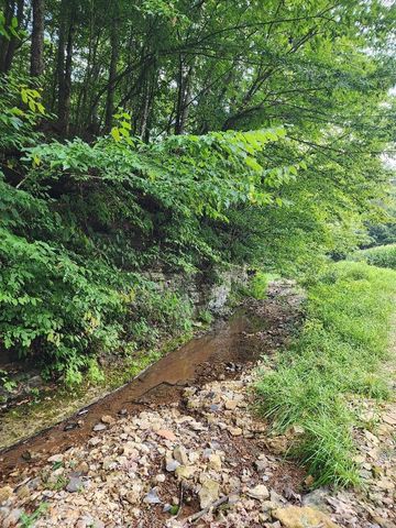 0 Taurus Farm Rd, Lafayette, TN 37083