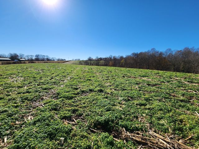 0 Taurus Farm Rd, Lafayette, TN 37083