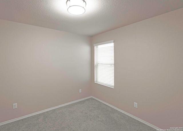 1972 BLUETHROAT, New Braunfels, TX 78130