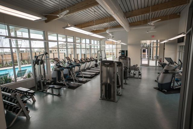 8830 Antelope Canyon Way, Manvel, TX 77578