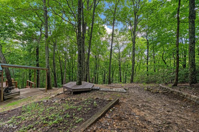 114 Whisper Wood Lane, Johnson City, TN 37601