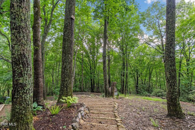114 Whisper Wood Lane, Johnson City, TN 37601