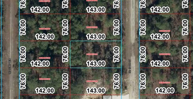 TBD SE 134TH COURT, Dunnellon, FL 34431