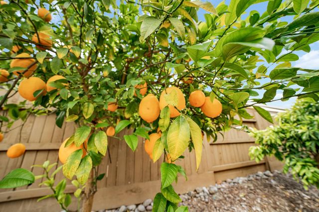 2305 Beamreach Ct, Lincoln, CA 95648