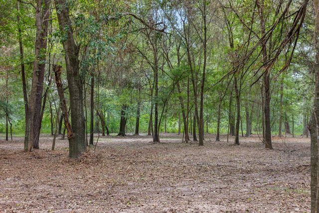 4986 Old Wagon Ln, Richards, TX 77873