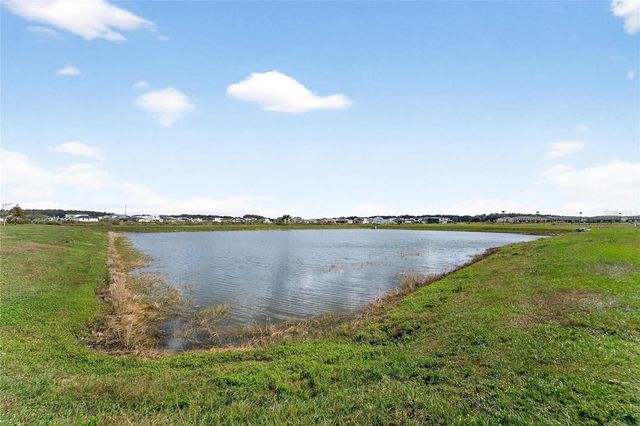 10718 IRONWOOD TREE WAY, San Antonio, FL 33576