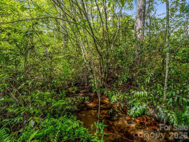 29 Stonehollow Lane, Brevard, NC 28712