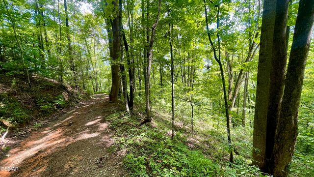 1304 Balsam Circle, Sevierville, TN 37876