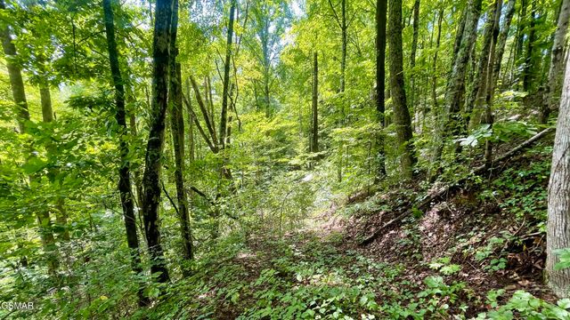 1304 Balsam Circle, Sevierville, TN 37876