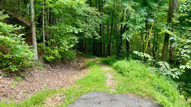 1304 Balsam Circle, Sevierville, TN 37876