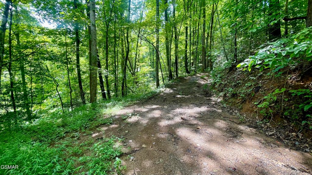 1304 Balsam Circle, Sevierville, TN 37876