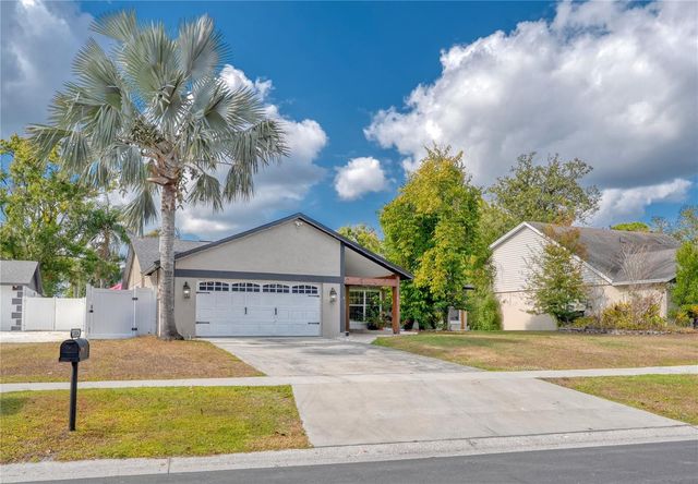 13834 CHERRY CREEK DRIVE, Tampa, FL 33618