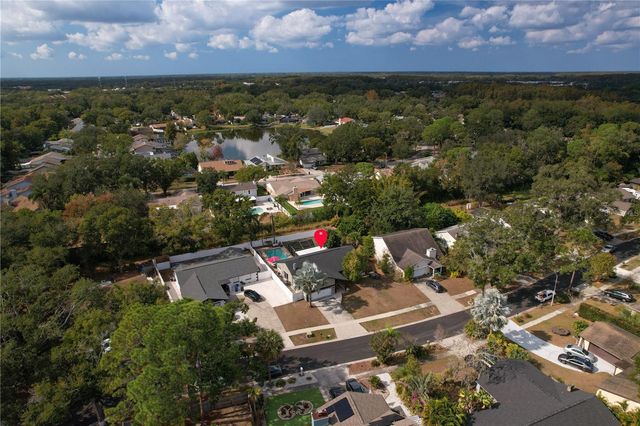 13834 CHERRY CREEK DRIVE, Tampa, FL 33618