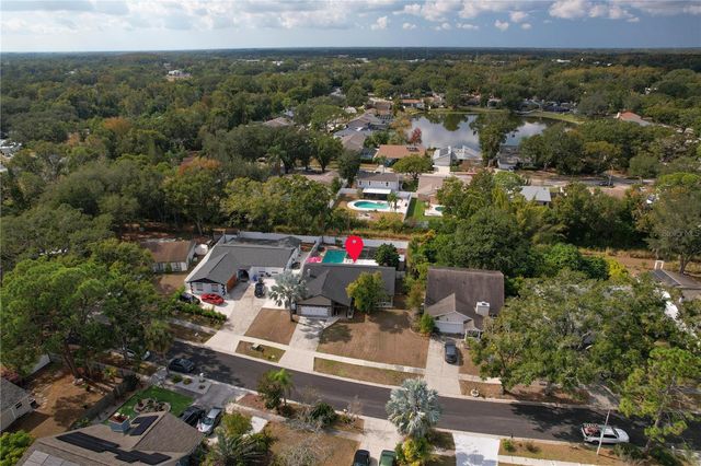 13834 CHERRY CREEK DRIVE, Tampa, FL 33618