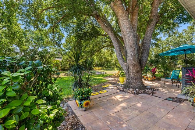 1150 ORANGE TREE CIRCLE E D, Palm Harbor, FL 34684