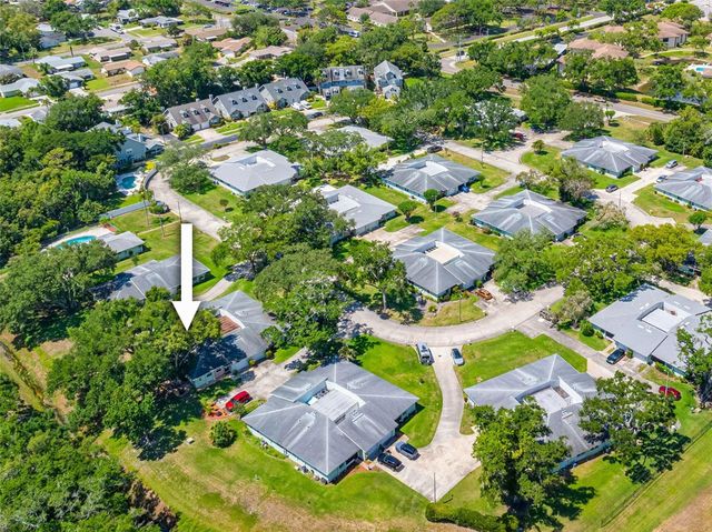 1150 ORANGE TREE CIRCLE E D, Palm Harbor, FL 34684