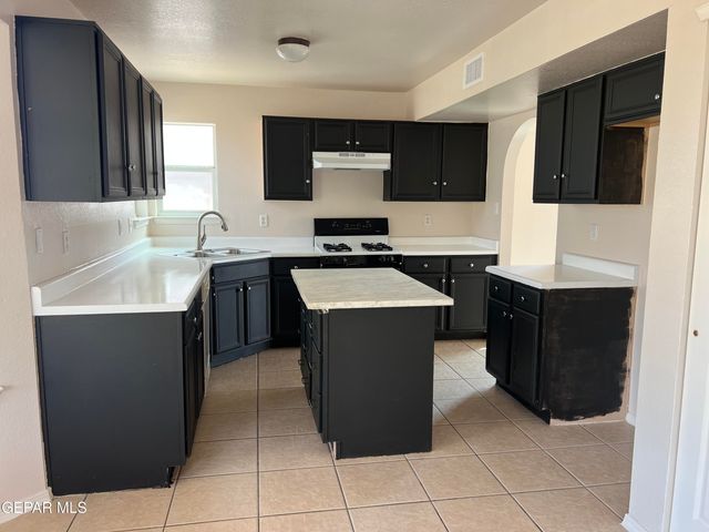 404 Desert Chicory Street, Horizon City, TX 79928