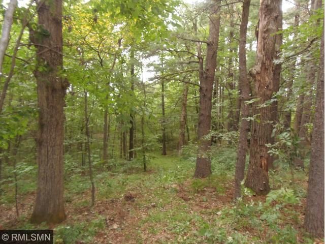 32339 County 21, Browerville, MN 56438