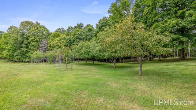 11494 Boney Falls H Road, Cornell, MI 49818