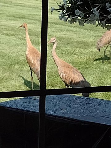 N5619 RIVERSIDE DRIVE, Shawano, WI 54166