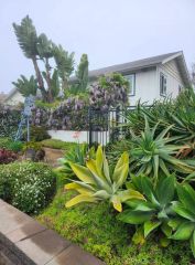 1864 Winterwarm, Fallbrook, CA 92028