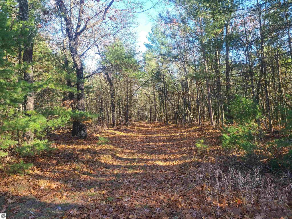 Image 5 of property listing at 7050 Loud Drive, Oscoda, MI 48750