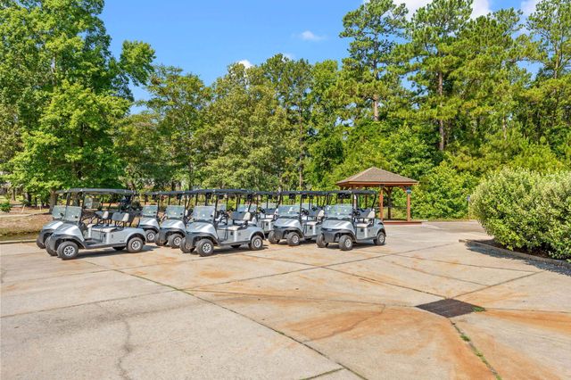 436 Shaft Pl., Conway, SC 29526