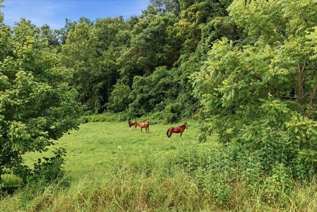 3438 Hampshire Pike, Mount Pleasant, TN 38474