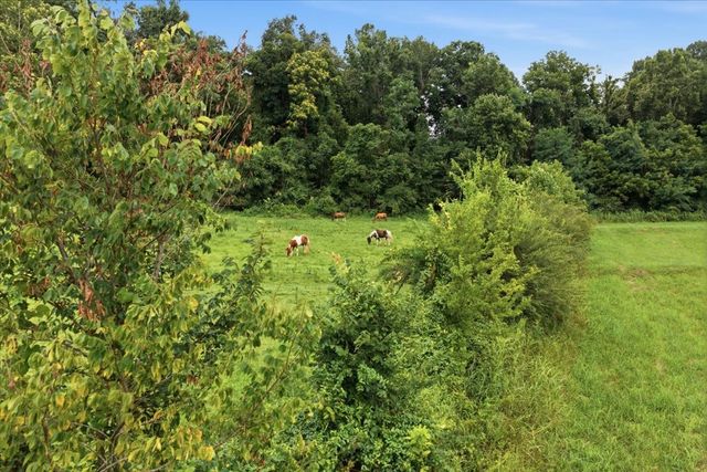 3438 Hampshire Pike, Mount Pleasant, TN 38474