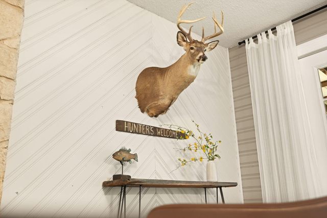 3853 Skidmore Road, Frenchburg, KY 40322