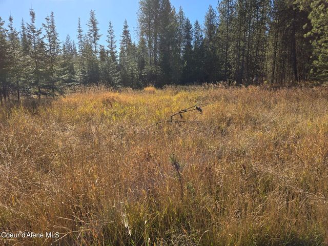 NKA LOT 1 Julian Ln, Fernwood, ID 83830 property photo