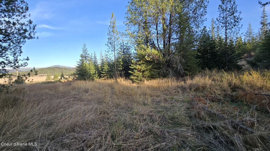 NKA LOT 1 Julian Ln, Fernwood, ID 83830 photo 2