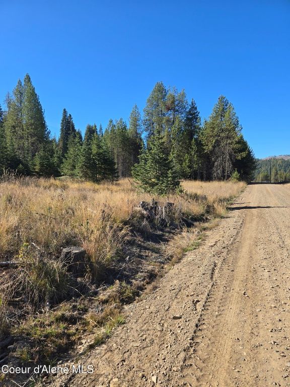 NKA LOT 1 Julian Ln, Fernwood, ID 83830 photo 4